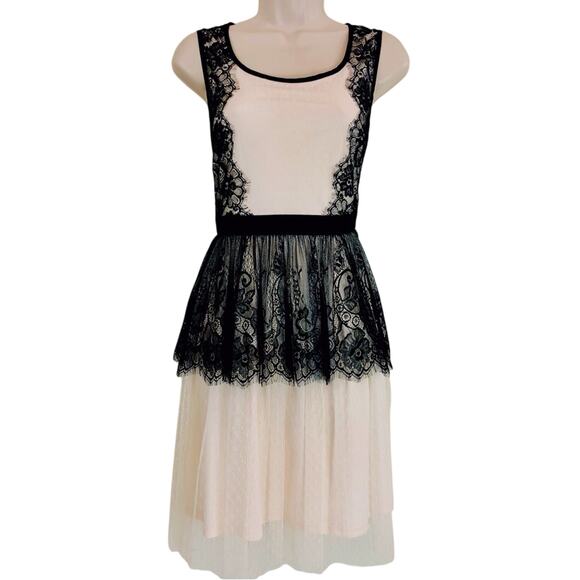 A'Reve Romantic Blush Pink and Black Lace Fit & Flare Dress Fully Lined Back Zip - Picture 16 of 16